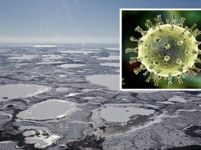 هشدار دانشمندان در مورد ظهور احتمالی یک ویروس کشنده