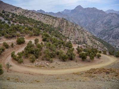 مرگ خاموش در دل کوه‌ها و دشت‌ها