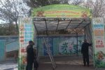 عرضه مستقیم میوه نوروزی با قیمت تنظیم بازار